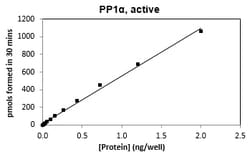 Eurofins DiscoverX PP1 Protein 250 &mu;g | Buy Online | Eurofins DiscoverX | Fisher Scientific